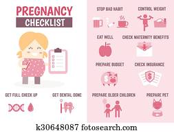 healthcare infographic about pregnancy checklist