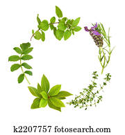 Herb Leaf Garland Herb Leaf Garland
