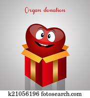 organ donation organ donation