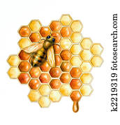 Bee and honey Bee and honey