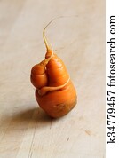carrot carrot