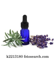 Lavender Herb Essence Lavender Herb Essence