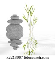 Zen Garden Tranquility