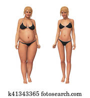 אישה, שומן, ל, רזה, שקלל הפסד, הפיכה