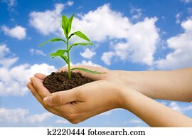 agriculture. plant in a hand agriculture. plant in a hand