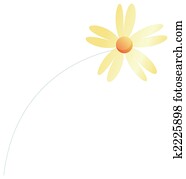 Daisy flower Daisy flower