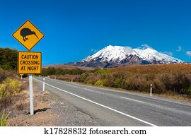Kiwi and mount Ruapehu