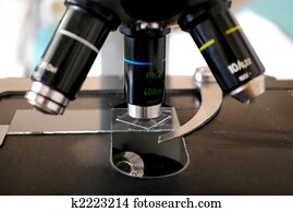 microscope