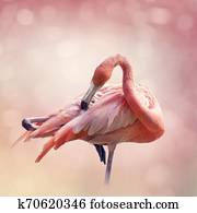 Pink Flamingo portrait Pink Flamingo portrait