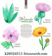 Set of watercolor madicinal plants Set of watercolor madicinal plants