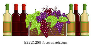 Vineyard Vineyard