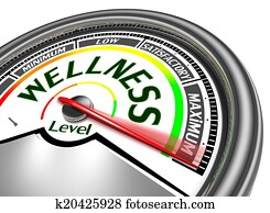 wellness conceptual meter wellness conceptual meter