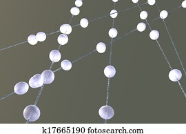 Drops Drops