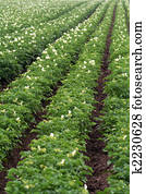 farming farming