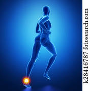 tornozelo, ferimento