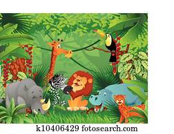 animals animals