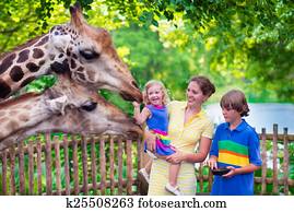 família, alimentação, girafa, em, um, jardim zoológico