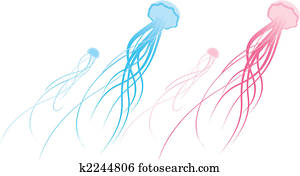 jellyfish jellyfish