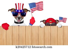 amerikanisch, hunde amerikanisch, hunde