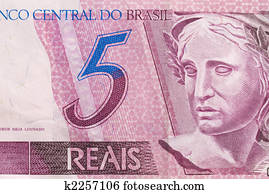 Brazilian Money