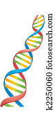 Double Helix DNA Strand Double Helix DNA Strand