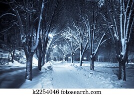 silencioso, passagem, sob, neve