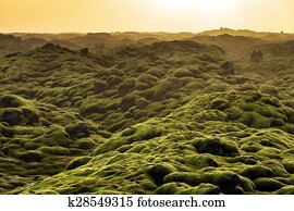 Volcanic landscape Iceland
