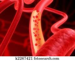 artery artery