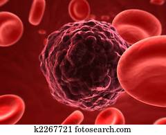 cancer cell cancer cell