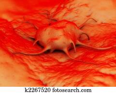 cancer cell cancer cell