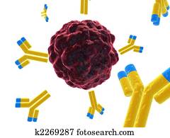 cancer cell with antibodies cancer cell with antibodies