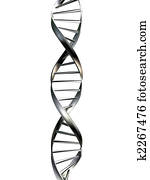 dna modell dna modell