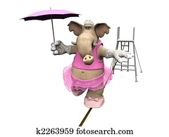 Elephant balancing on a wire. Elephant balancing on a wire.