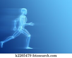 running skeleton running skeleton