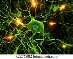 active nerve cells active nerve cells