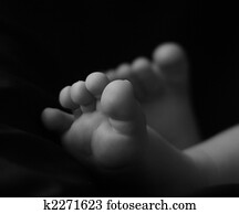 Baby feet Baby feet