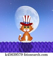cat celebrate Independence day cat celebrate Independence day