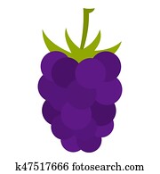 Fresh blackberry icon isolated Fresh blackberry icon isolated
