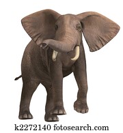 huge elephant huge elephant