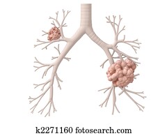 lung cancer lung cancer