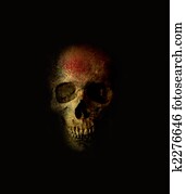 Scary Skull Scary Skull