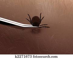 tick tick