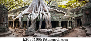 Angkor Wat Cambodia. Ta Prom Khmer ancient Buddhist temple Angkor Wat Cambodia. Ta Prom Khmer ancient Buddhist temple