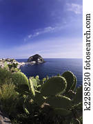 ITALY, Campania, Ischia island, S.Angelo