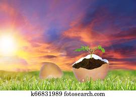 pascua, salida del sol, encima, agrietado, huevo de pascua, con, nuevo, planta, y, espacio de copia