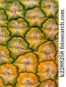 Pineapple Pineapple