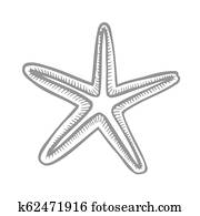 نجم البحر معرض الأشكال 1000 نجم البحر Art Fotosearch