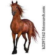 Beautiful Horse Beautiful Horse