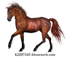 Beautiful Horse Beautiful Horse