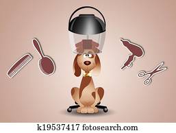 little dog to the hairdresser for grooming little dog to the hairdresser for grooming